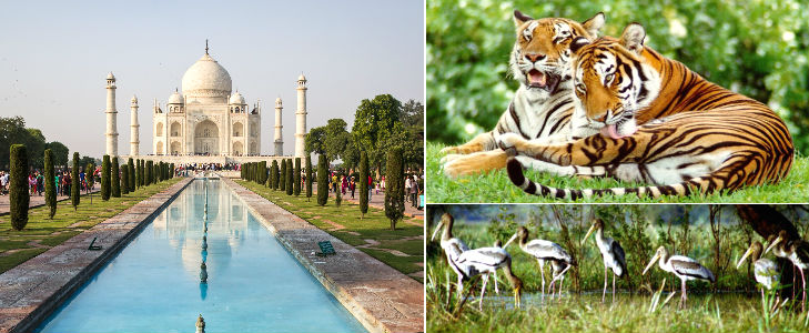 Abhaneri Day Tour